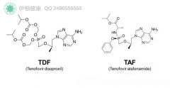 乙肝新药TAF（Tenofovir alafenamide）将取